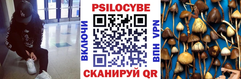 Галлюциногенные грибы мицелий Сясьстрой